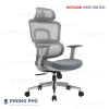 Ghế công thái học Ergonomic A2310