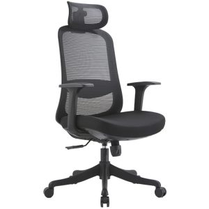 Ghế công thái học Ergonomic A2308