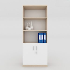 Tủ tài liệu gỗ TTLG01
